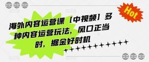 海外内容运营课【中视频】多种内容运营玩法，风口正当时，掘金好时机-阳知网创资源库