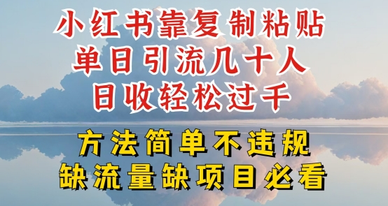 小红书靠复制粘贴单日引流几十人目收轻松过千,方法简单不违规【揭秘】-阳知网创资源库