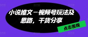 小说推文—视频号玩法及思路,干货分享-阳知网创资源库