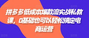 拼多多低成本爆款流实战私教课,0基础也可以轻松搞定电商运营-阳知网创资源库