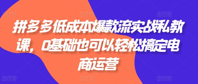 拼多多低成本爆款流实战私教课,0基础也可以轻松搞定电商运营-阳知网创资源库