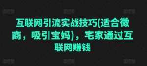 互联网引流实战技巧(适合微商,吸引宝妈),宅家通过互联网赚钱-阳知网创资源库