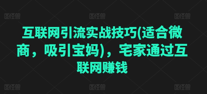 互联网引流实战技巧(适合微商,吸引宝妈),宅家通过互联网赚钱-阳知网创资源库