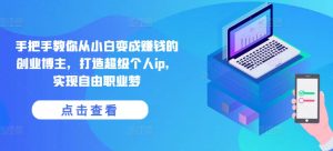 手把手教你从小白变成赚钱的创业博主,打造超级个人ip,实现自由职业梦-阳知网创资源库