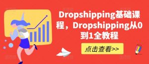 Dropshipping基础课程,Dropshipping从0到1全教程-阳知网创资源库