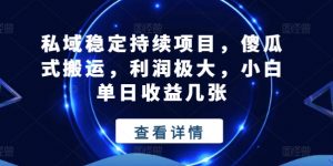 私域稳定持续项目,傻瓜式搬运,利润极大,小白单日收益几张【揭秘】-阳知网创资源库