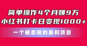 简单操作4个月赚9w,小红书打卡日变现1k,一个被忽视的暴力项目【揭秘】-阳知网创资源库