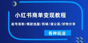 小红书商单变现教程:起号涨粉/爆款选题/剪辑/蒲公英/好物分享/各种玩法-阳知网创资源库
