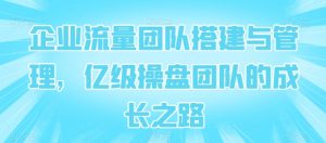企业流量团队搭建与管理,亿级操盘团队的成长之路-阳知网创资源库