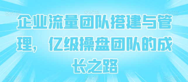 企业流量团队搭建与管理,亿级操盘团队的成长之路-阳知网创资源库