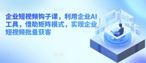 企业短视频钩子课,利用企业AI工具,借助矩阵模式,实现企业短视频批量获客-阳知网创资源库