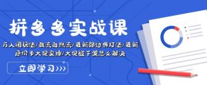 拼多多实战课:万人团玩法/截流自然流/最新强付费打法/最新原价卡大促..-阳知网创资源库