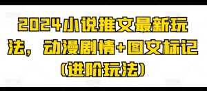 2024小说推文最新玩法，动漫剧情+图文标记(进阶玩法)-阳知网创资源库