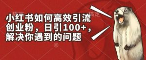 小红书如何高效引流创业粉,日引100+,解决你遇到的问题【揭秘】-阳知网创资源库