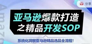 【训练营】亚马逊爆款打造之精品开发SOP，系统化洞察亚马逊精品选品全流程-阳知网创资源库