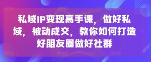 私域IP变现高手课,做好私域,被动成交,教你如何打造好朋友圈做好社群-阳知网创资源库