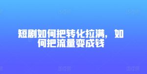 短剧如何把转化拉满，如何把流量变成钱-阳知网创资源库