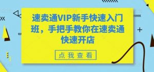 速卖通VIP新手快速入门班,手把手教你在速卖通快速开店-阳知网创资源库