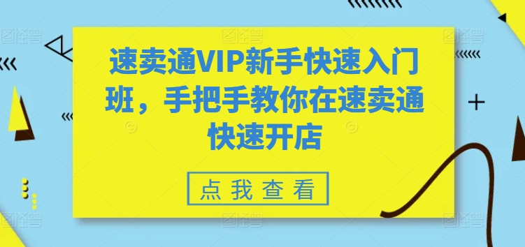 速卖通VIP新手快速入门班,手把手教你在速卖通快速开店-阳知网创资源库