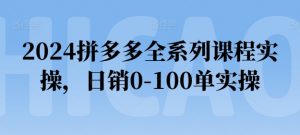 2024拼多多全系列课程实操，日销0-100单实操【必看】-阳知网创资源库