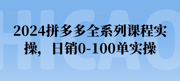 2024拼多多全系列课程实操,日销0-100单实操【必看】-阳知网创资源库