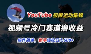 视频号冷门赛道撸收益，YouTube搬运极限运动集锦，暴力起号，操作简单流量高，轻松日入5张【揭秘】-阳知网创资源库