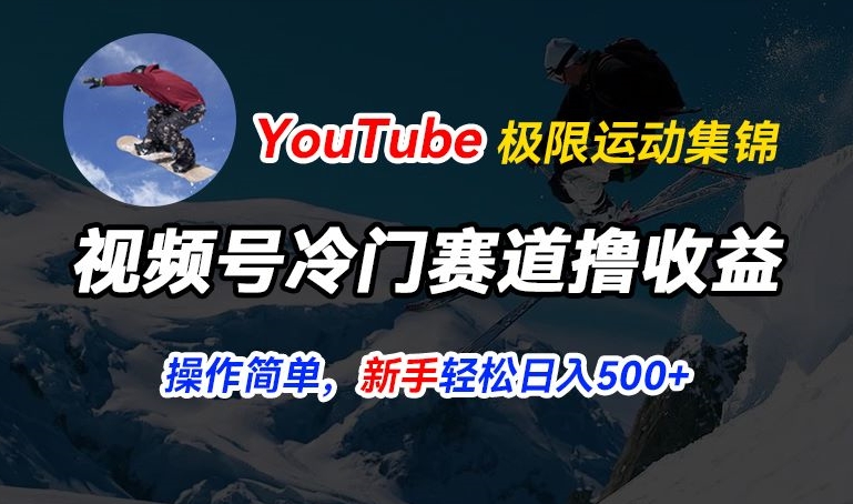 视频号冷门赛道撸收益，YouTube搬运极限运动集锦，暴力起号，操作简单流量高，轻松日入5张【揭秘】-阳知网创资源库