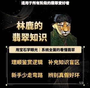 林鹿的翡翠知识,用宝石眼光,系统全面的看懂翡翠-阳知网创资源库