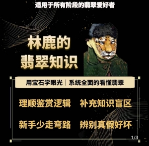 林鹿的翡翠知识,用宝石眼光,系统全面的看懂翡翠-阳知网创资源库