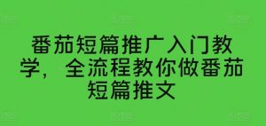 番茄短篇推广入门教学,全流程教你做番茄短篇推文-阳知网创资源库