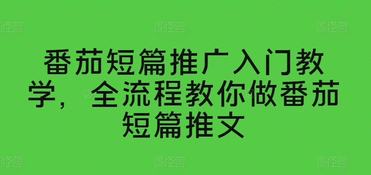番茄短篇推广入门教学，全流程教你做番茄短篇推文-阳知网创资源库