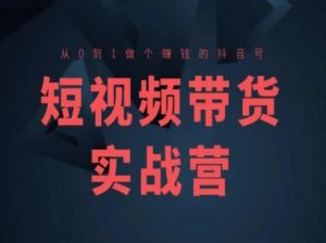 短视频带货实战营(高阶课)，从0到1做个赚钱的抖音号-阳知网创资源库