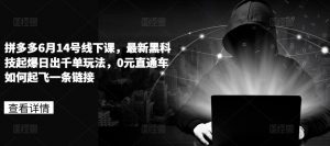 拼多多6月14号线下课，最新黑科技起爆日出千单玩法，0元直通车如何起飞一条链接-阳知网创资源库