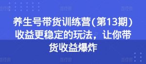 养生号带货训练营(第13期)收益更稳定的玩法,让你带货收益爆炸-阳知网创资源库