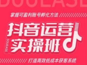 抖音运营实操班，掌握可盈利账号孵化方法，打造高效低成本获客系统-阳知网创资源库