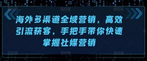 海外多渠道全域营销,高效引流获客,手把手带你快速掌握社媒营销-阳知网创资源库
