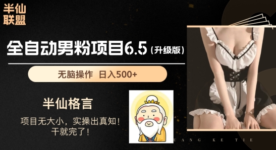 男粉项目6.5升级版,全自动男粉项目,日收入1K+【揭秘】-阳知网创资源库