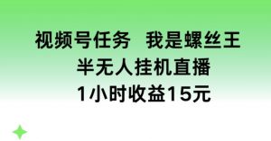 视频号任务,我是螺丝王, 半无人挂机1小时收益15元【揭秘】-阳知网创资源库