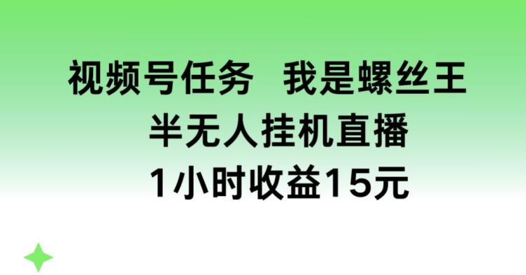 视频号任务，我是螺丝王， 半无人挂机1小时收益15元【揭秘】-阳知网创资源库