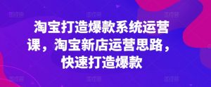 淘宝打造爆款系统运营课,淘宝新店运营思路,快速打造爆款-阳知网创资源库