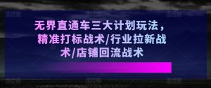无界直通车三大计划玩法,精准打标战术/行业拉新战术/店铺回流战术-阳知网创资源库