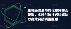 亚马逊流量与转化提升整合营销,多种引流技巧讲解助力高效突破销量瓶颈-阳知网创资源库