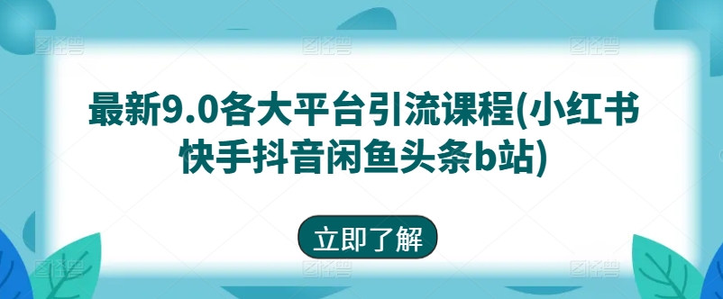 最新9.0各大平台引流课程(小红书快手抖音闲鱼头条b站)-阳知网创资源库