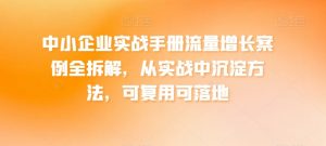 中小企业实战手册流量增长案例全拆解,从实战中沉淀方法,可复用可落地-阳知网创资源库