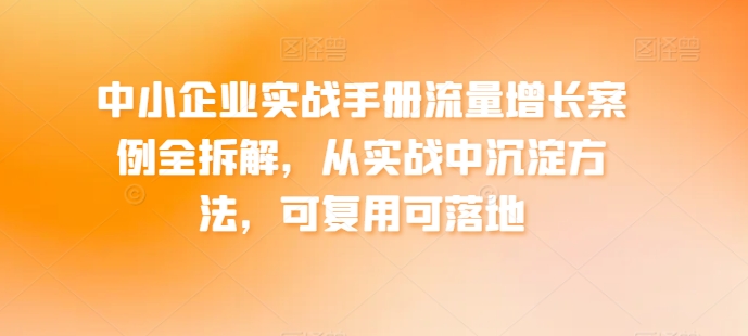 中小企业实战手册流量增长案例全拆解,从实战中沉淀方法,可复用可落地-阳知网创资源库