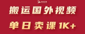 搬运国外视频,引流创业粉,单日卖课1K+【揭秘】-阳知网创资源库