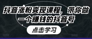 抖音涨粉变现课程,带你做一个赚钱的抖音号-阳知网创资源库