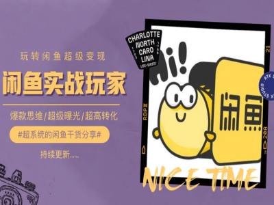 手把手教你0到1系统玩转闲鱼变现，爆款思维/超级曝光/超高转化-阳知网创资源库