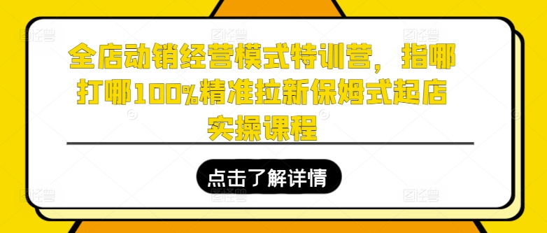 全店动销经营模式特训营，指哪打哪100%精准拉新保姆式起店实操课程-阳知网创资源库