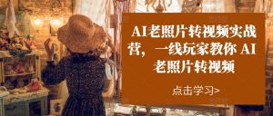 AI老照片转视频实战营,一线玩家教你AI老照片转视频-阳知网创资源库